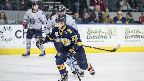 Admirals Unable To Complete Comeback, Fall To Swamp Rabbits