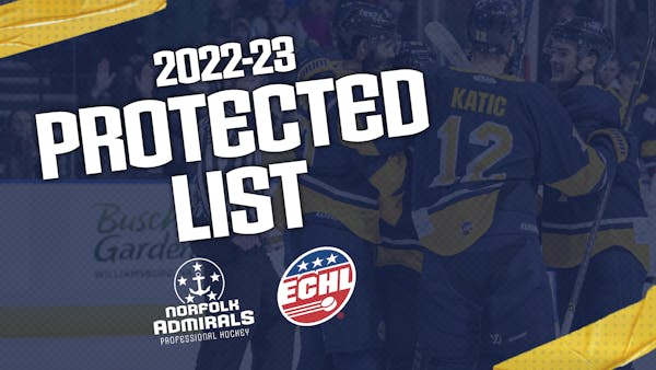 Admirals Submit Protected List To ECHL
