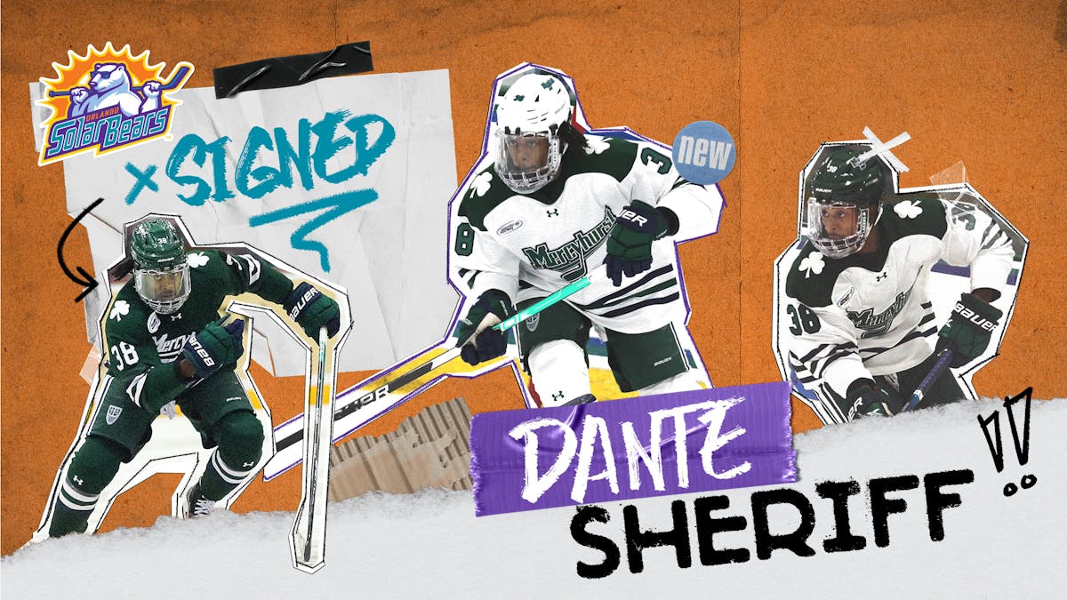 Solar Bears add Dante Sheriff