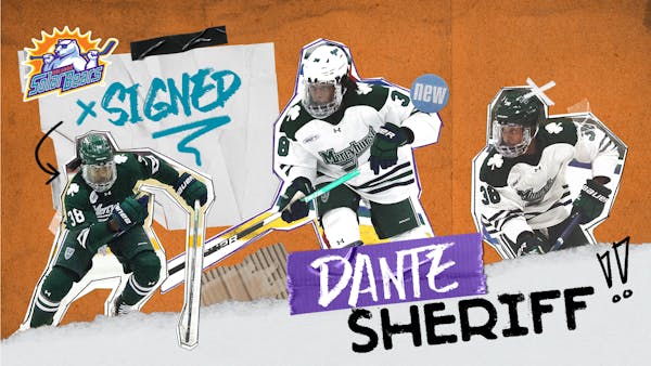 Solar Bears add Dante Sheriff