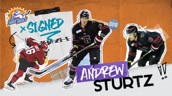Solar Bears sign Andrew Sturtz