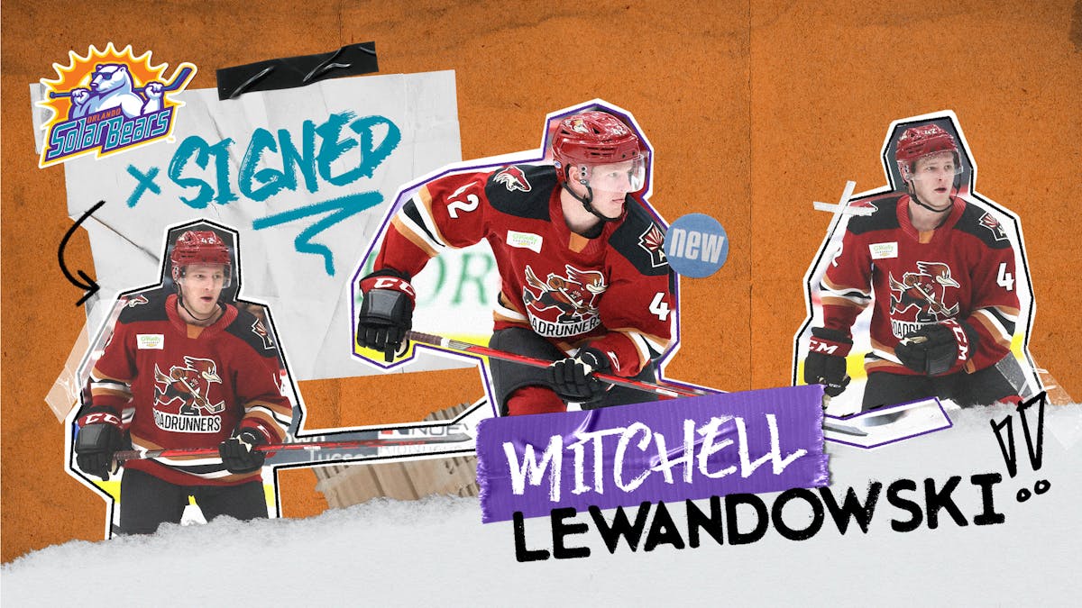 Solar Bears Sign Mitchell Lewandowski