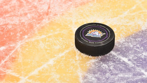 ECHL Announces Solar Bears to Play Icemen Friday Night in Jacksonville