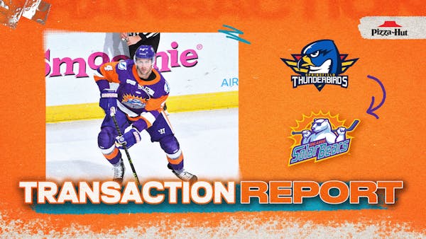 Solar Bears Announce Multiple Transactions