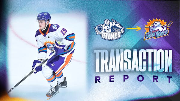 Orlando Solar Bears | Homepage orlando-solar-bears-homepage