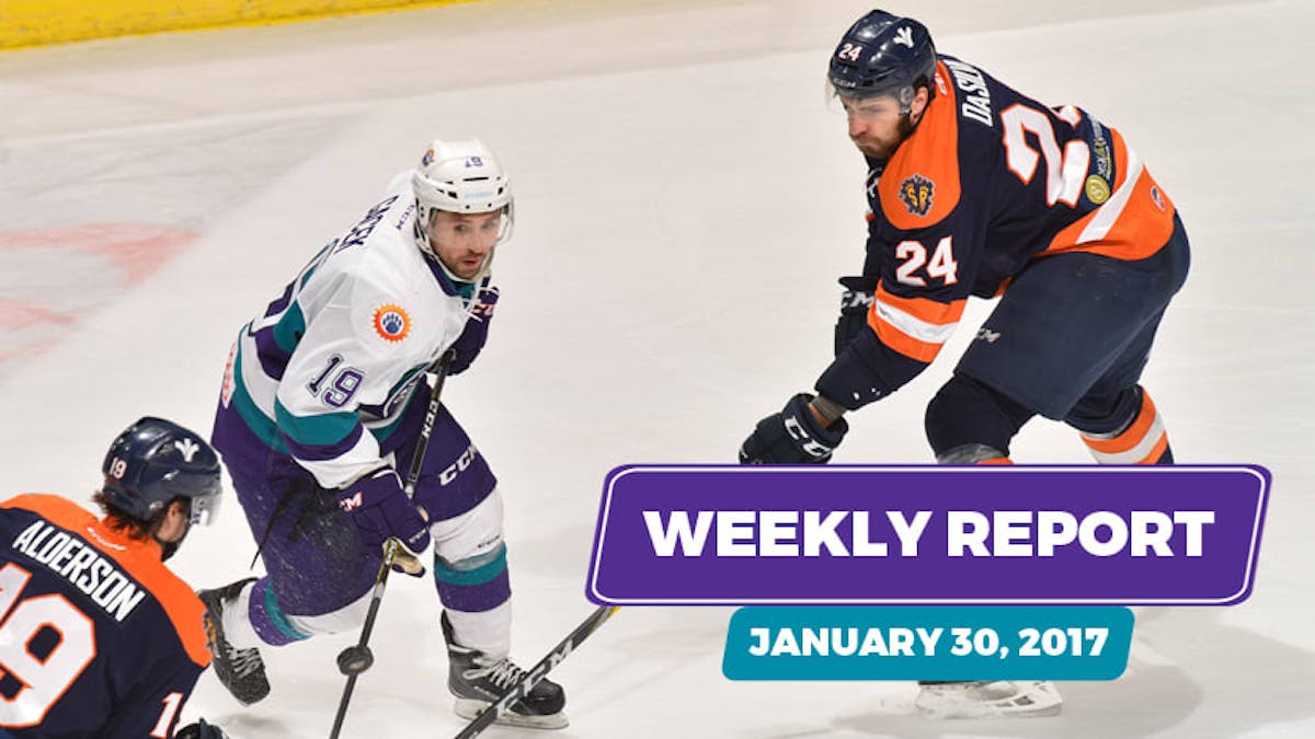 Weekly Report: February 6, 2017