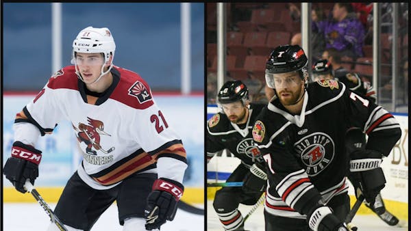 GENNARO AND BEAUDOIN EARN AHL CALL-UPS