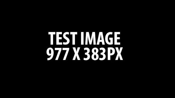 Test Article 5