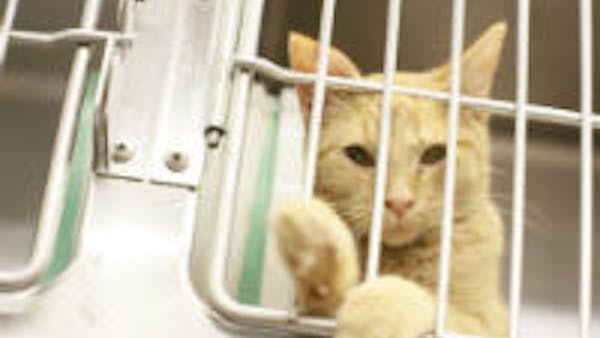 COMMUNITY SPOTLIGHT: WINE AND DINE FOR CANINES (AND FELINES)