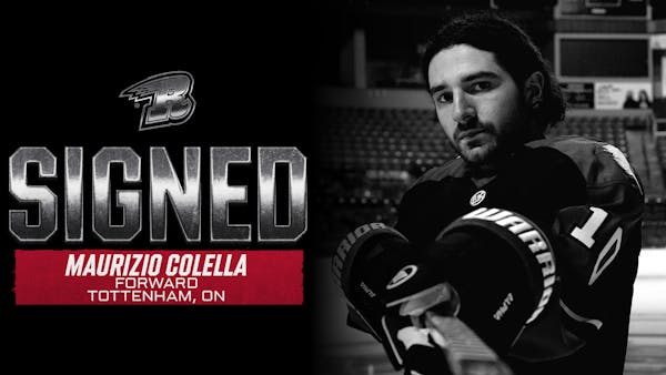 MAURIZIO COLELLA RE-SIGNS FOR THIRD RUSH SEASON