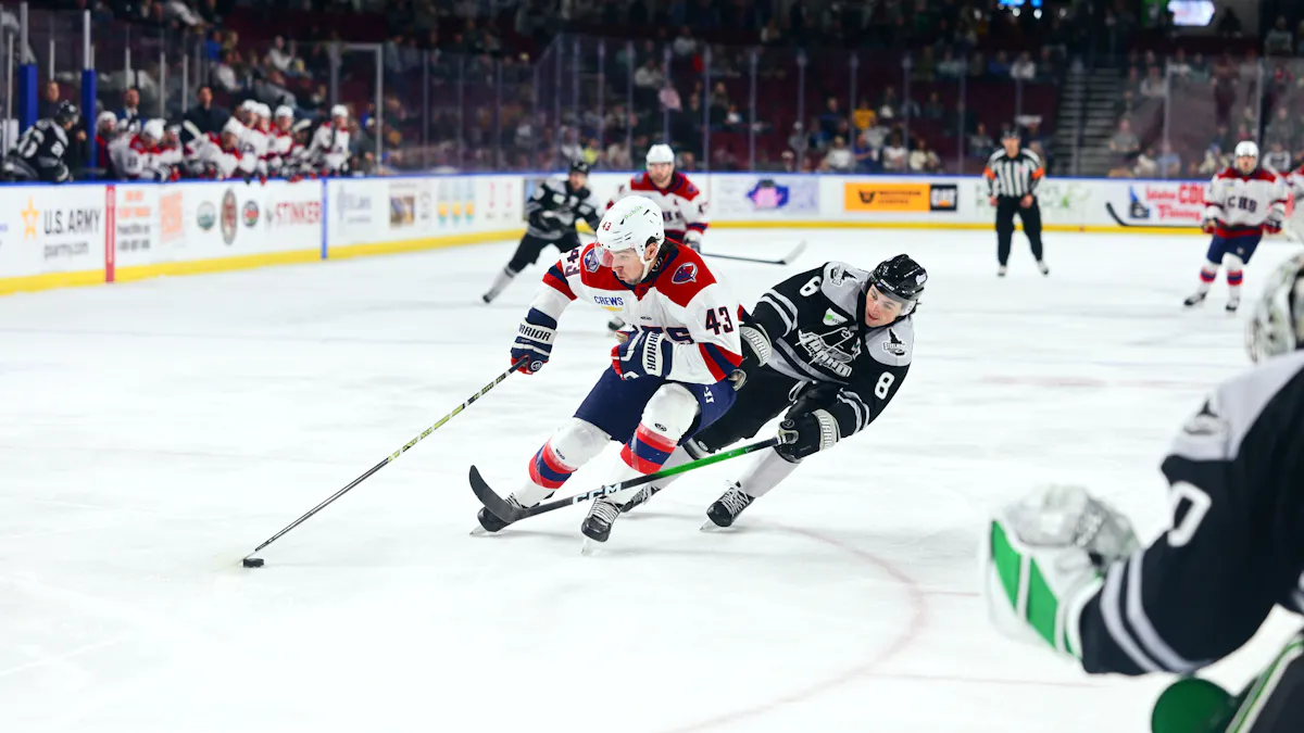 SOUTH CAROLINA EDGES IDAHO 2-1 IN OVERTIME