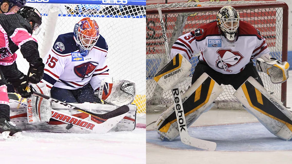 Hershey Bears Announce Roster Transactions