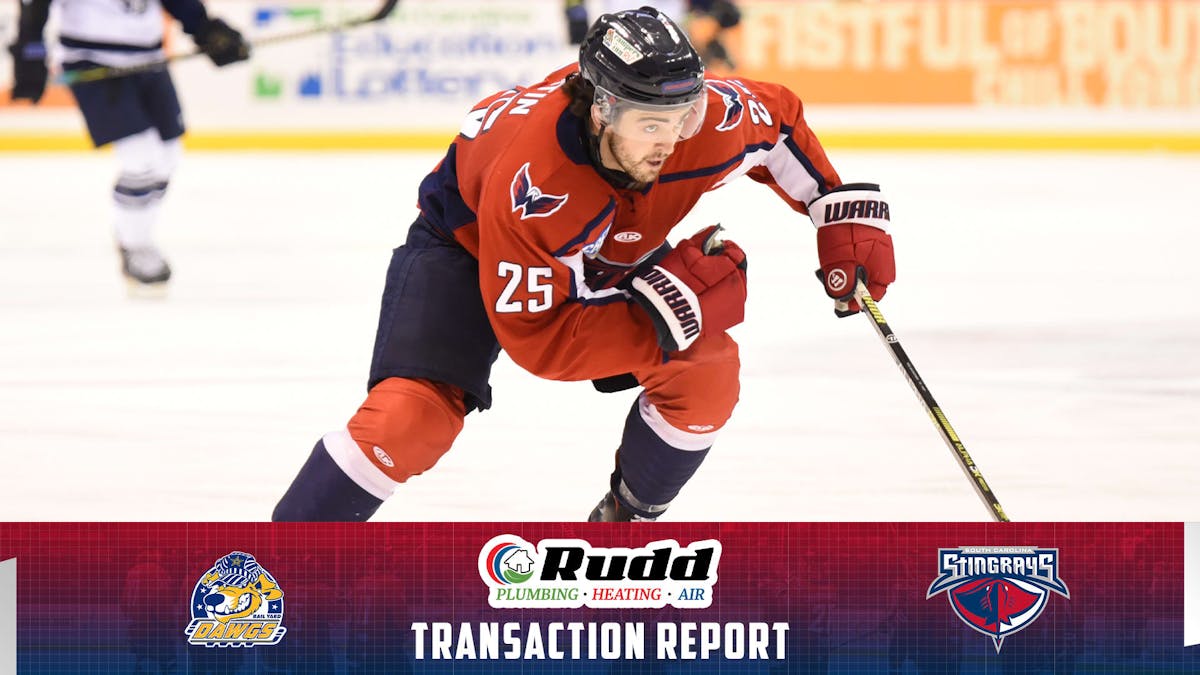 South Carolina Resigned Defenseman Martin
