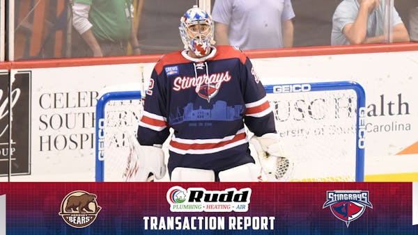 Shepard Rejoins Stingrays