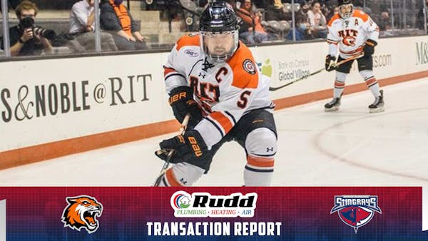 Stingrays Sign Defenseman Willett to ATO