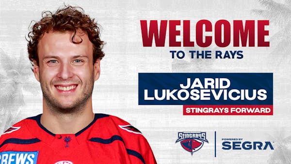 Stingrays Add AHL-Experienced Lukosevicius