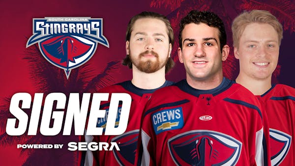 Trio of Rookies Sign with the Stingrays