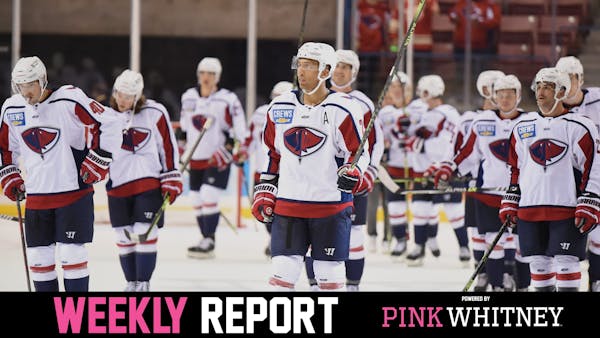 Stingrays Weekly Report: November 7, 2022