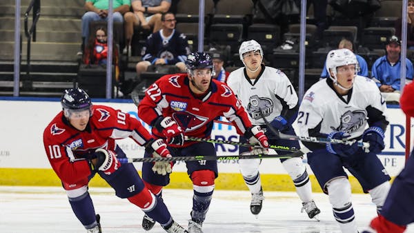 Stingrays Fall on the Road in Jacksonville