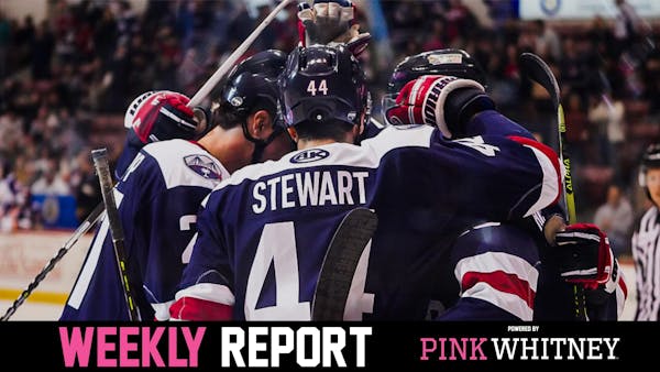 Stingrays Weekly Report: November 21, 2022
