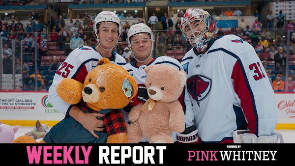 Stingrays Weekly Report: December 5, 2022