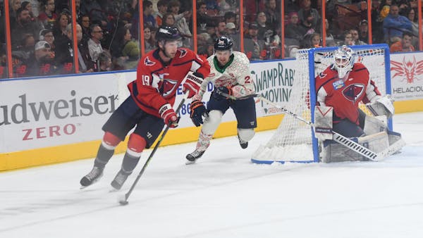 Stingrays Fall to Swamp Rabbits on Saturday