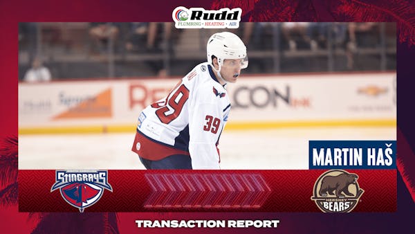 Martin Haš Recalled by Hershey