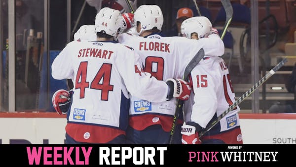 Stingrays Weekly Report: December 19, 2022