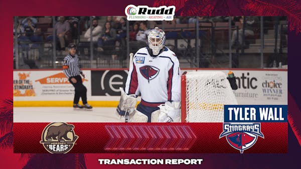 Tyler Wall Reassigned by Hershey