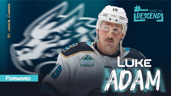 Knight Monsters Bring Back Veteran Forward Luke Adam