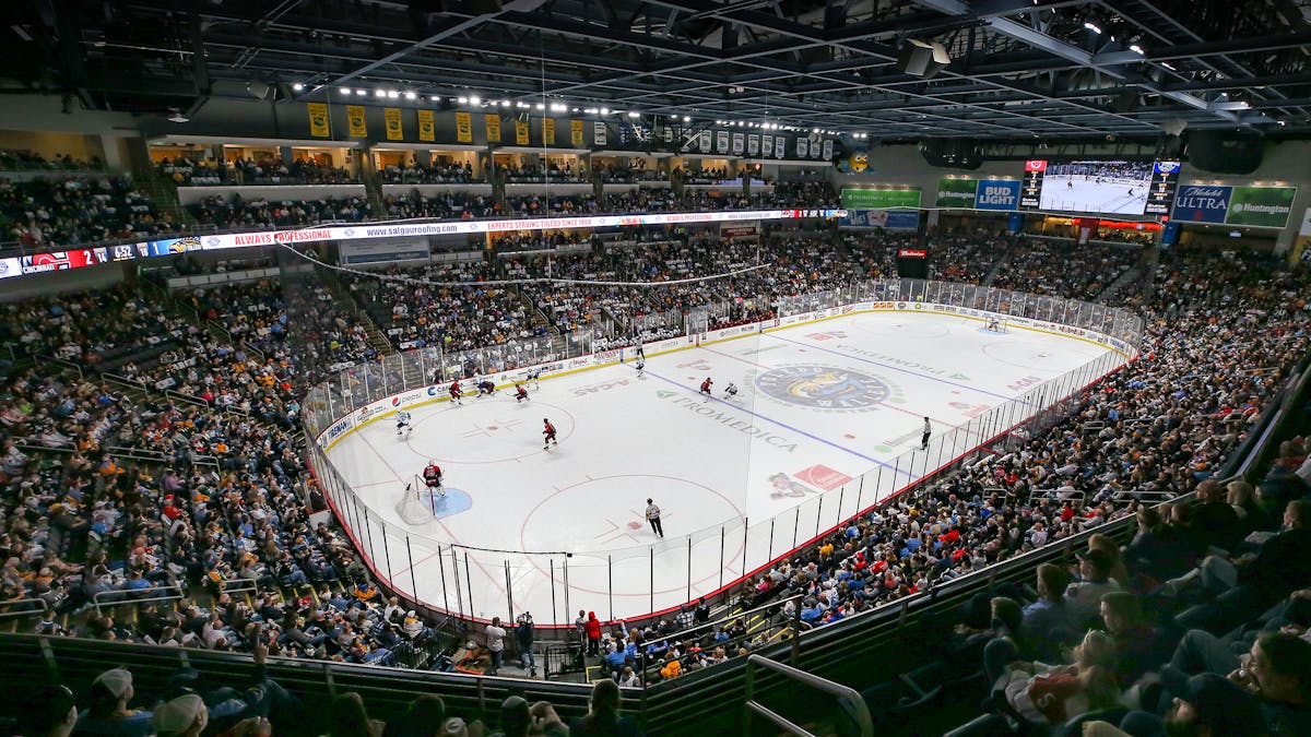 The Walleye net 2 power play goals, fall 4-2 to Bison