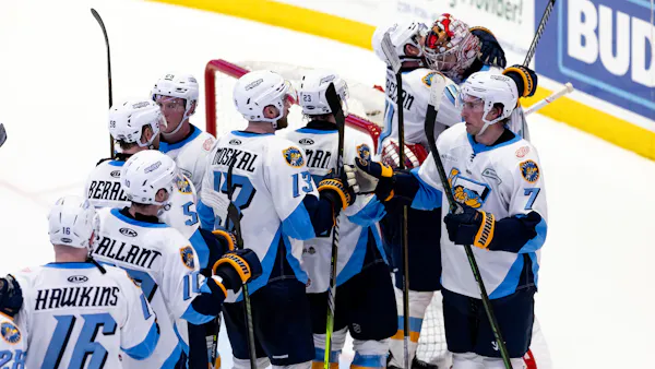 Toledo Walleye | Walleye announce 2024-25 schedule