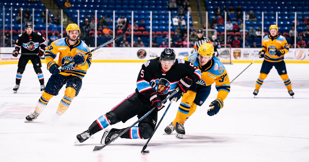 Toledo Walleye | Walleye fall 2-1 in Bloomington, game six set for Sunday in Toledo Toledo Walleye | Walleye fall 2-1 in Bloomington, game six set for Sunday in Toledo