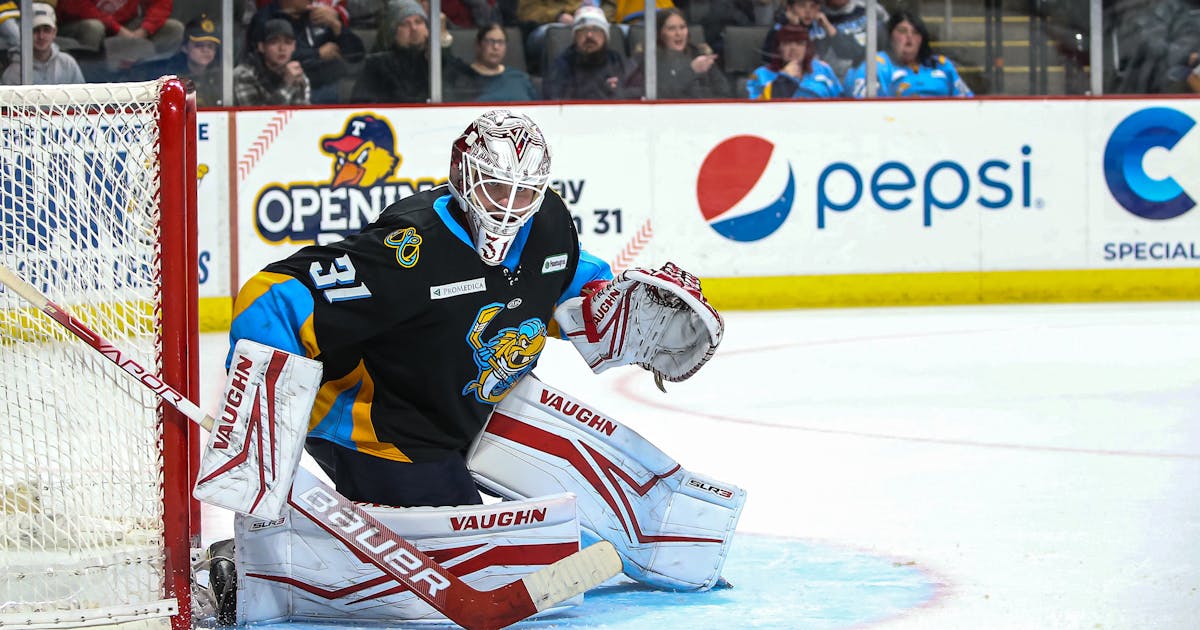 Toledo Walleye | Walleye announce 2023-24 season opening roster toledo-walleye-walleye-announce-2023-24-season-opening-roster