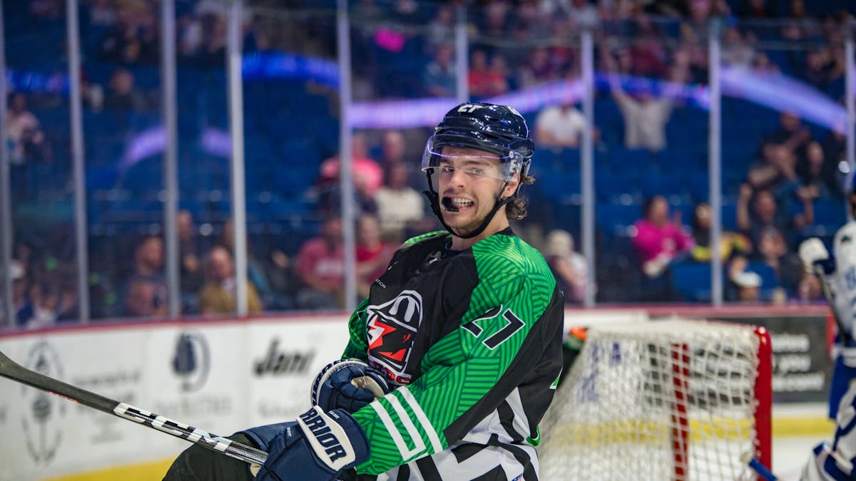 DUCKS REASSIGN PAIR OF FORWARDS, GOALTENDER VIA GULLS