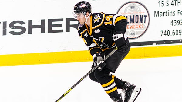 Nailers Re-Sign David Jankowski