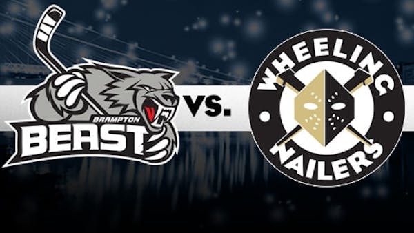 Nailers vs. Beast Game Day Snap Shot