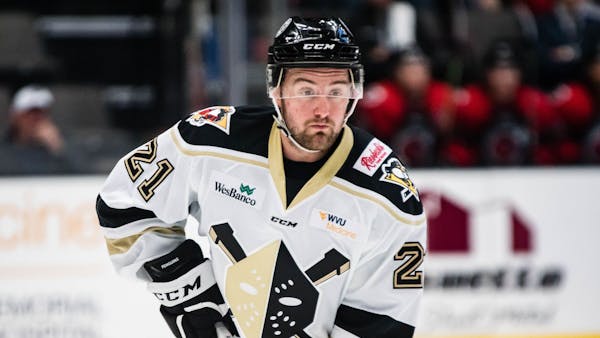 Cyclones Clip Nailers, 4-2