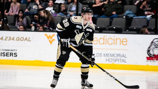 Nailers Solve Solar Bears Spell