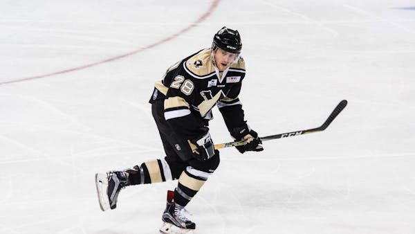 Army and Zink Rejoin Nailers