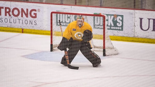 Penguins Reassign Goaltender Emil Larmi to Nailers