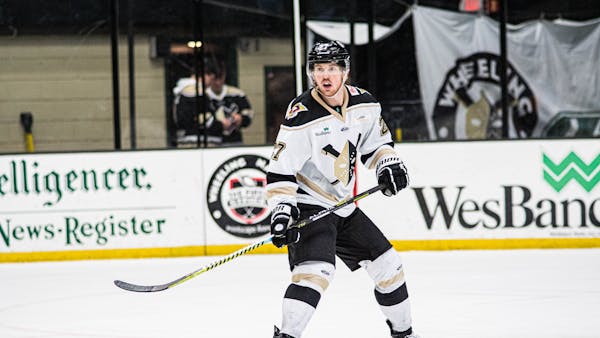 Penguins Recall Christopher Brown