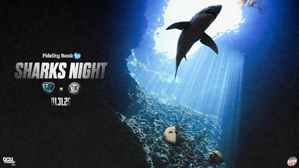Sharks Night
