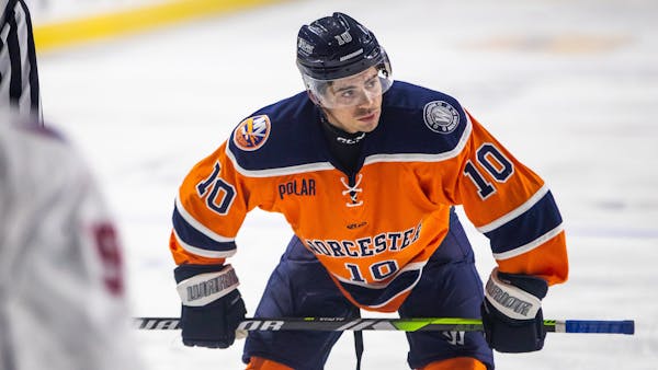 WORCESTER FALLS 8-1 TO STINGRAYS ON FRIDAY NIGHT